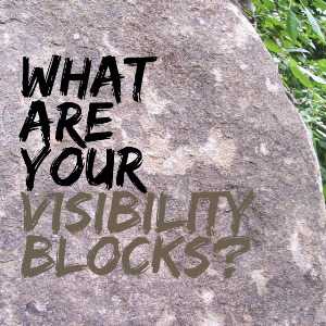 What are Your Visibility Blocks?