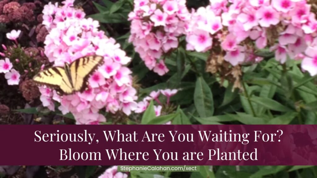 Take Action Now - Bloom Where You Are Planted